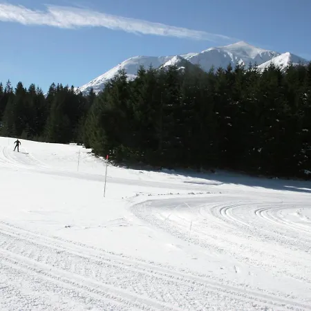 Chalet Elisabeth 1
